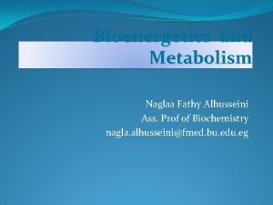 Bioenergetics and Metabolism Naglaa Fathy Alhusseini Ass Prof