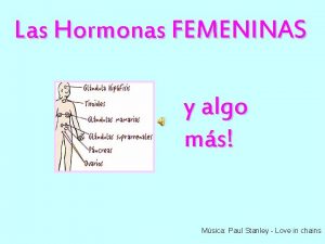 Las Hormonas FEMENINAS y algo ms Msica Paul