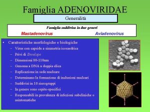 Famiglia ADENOVIRIDAE Generalit Famiglia suddivisa in due generi