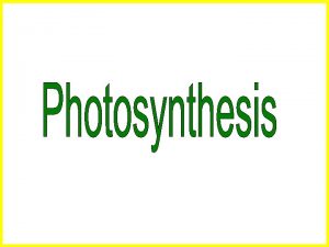 Photosynthesis Converts solar energy into the chemical energy