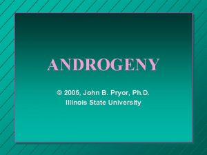 ANDROGENY 2005 John B Pryor Ph D Illinois