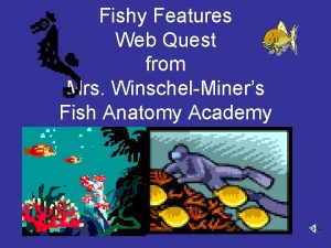 Fishy Features Web Quest from Mrs WinschelMiners Fish