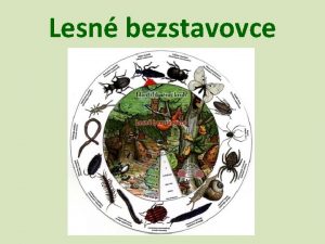 Lesn bezstavovce v lese ich ije vea nemaj