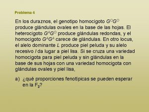 Problema 4 En los duraznos el genotipo homocigoto