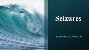 Seizures Prepared by Shane Barclay MD OBJECTIVES Assessing