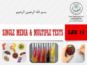 Media Multiple Tests v Several media are designed