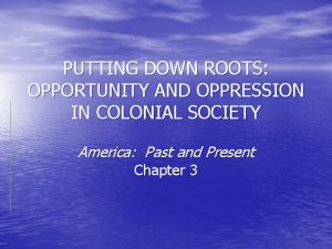 PUTTING DOWN ROOTS OPPORTUNITY AND OPPRESSION IN COLONIAL