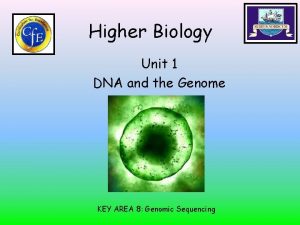 Higher Biology Unit 1 DNA and the Genome