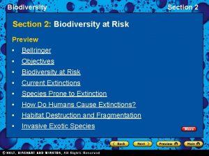 Biodiversity Section 2 Biodiversity at Risk Preview Bellringer