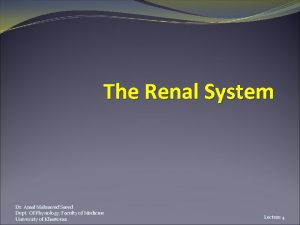The Renal System Dr Amal Mahmoud Saeed Dept
