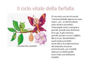 Il ciclo vitale della farfalla Vi racconto una