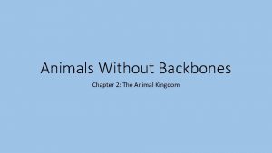 Animals Without Backbones Chapter 2 The Animal Kingdom