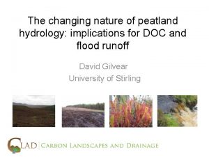 The changing nature of peatland hydrology implications for