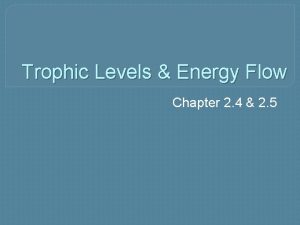 Trophic Levels Energy Flow Chapter 2 4 2