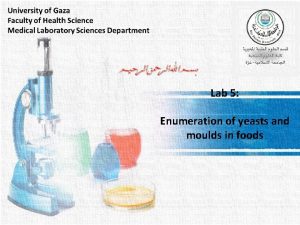 Lab 5 Enumeration of yeasts and moulds in