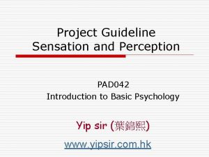Project Guideline Sensation and Perception PAD 042 Introduction