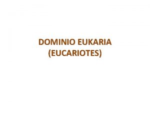 DOMINIO EUKARIA EUCARIOTES CARACTERISTICAS 1 Integrado por los