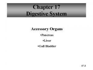 Chapter 17 Digestive System Accessory Organs Pancreas Liver