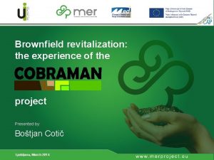 Brownfield revitalization the experience of the project Presented