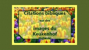 Citations bibliques sur des images du Keukenhof Hollande