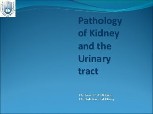Pathology of Kidney and the Urinary tract Dr