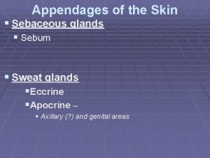 Appendages of the Skin Sebaceous glands Sebum Sweat