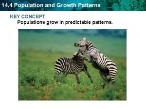 14 4 Population and Growth Patterns KEY CONCEPT