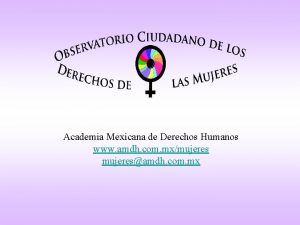 Academia Mexicana de Derechos Humanos www amdh com