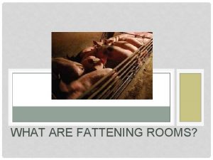 WHAT ARE FATTENING ROOMS ADMIRE VERB Sentences The