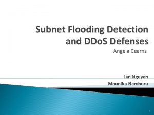 Subnet Flooding Detection and DDo S Defenses Angela