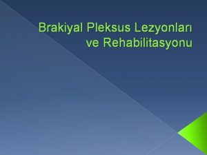 Brakiyal Pleksus Lezyonlar ve Rehabilitasyonu Brakiyal Pleksus Paralizi