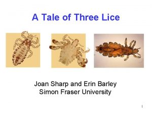 A Tale of Three Lice Joan Sharp and