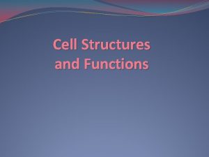 Cell Structures and Functions Cell Wall Plant Cell