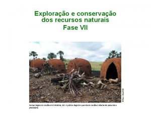 Wilson DiasABr Explorao e conservao dos recursos naturais