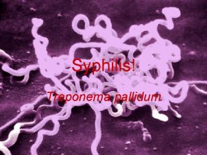 Syphilis Treponema pallidum What Is Syphilis A sexually