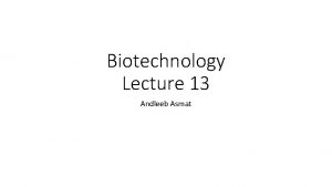 Biotechnology Lecture 13 Andleeb Asmat Transgenic Animals A