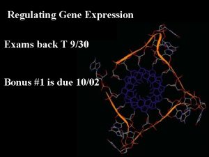 Regulating Gene Expression Exams back T 930 Bonus