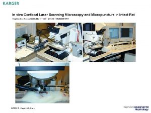 In vivo Confocal Laser Scanning Microscopy and Micropuncture