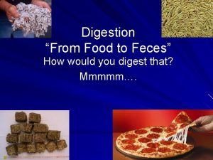 Digestion From Food to Feces How would you