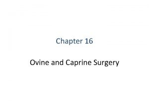 Chapter 16 Ovine and Caprine Surgery Its not