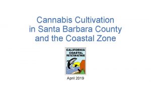 Cannabis Cultivation in Santa Barbara County and the