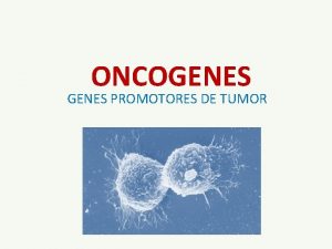 ONCOGENES PROMOTORES DE TUMOR CONCEITO Genes relacionados com