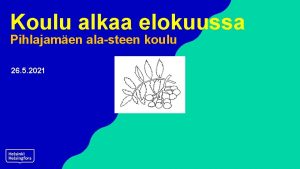 Koulu alkaa elokuussa Pihlajamen alasteen koulu 26 5