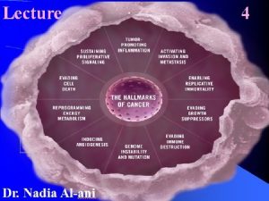 Hallmarks of malignancy 5 Development of Sustained Angiogenesis