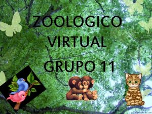 ZOOLOGICO VIRTUAL GRUPO 11 Felinos Los flidos son
