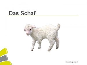 Das Schaf www edugroup at Education Group Gmb