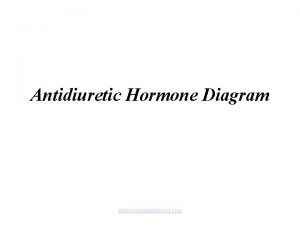 Antidiuretic Hormone Diagram www assignmentpoint com Water content