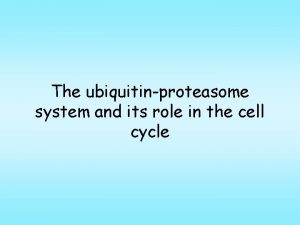 The ubiquitinproteasome system and its role in the
