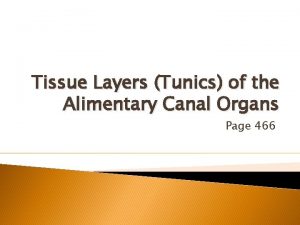 Tissue Layers Tunics of the Alimentary Canal Organs