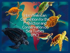 InterAmerican Convention for the Protection and Conservation of